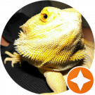 Reprobate Reptiles Avatar